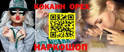 2c-b Кингисепп