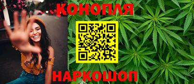 2c-b Кингисепп