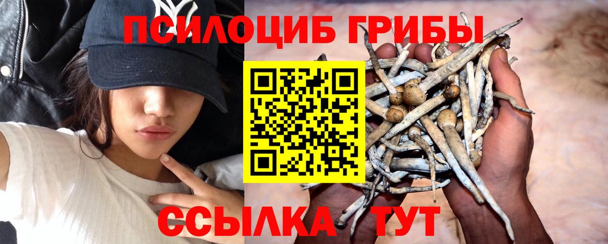Галлюциногенные грибы мицелий Тельмана