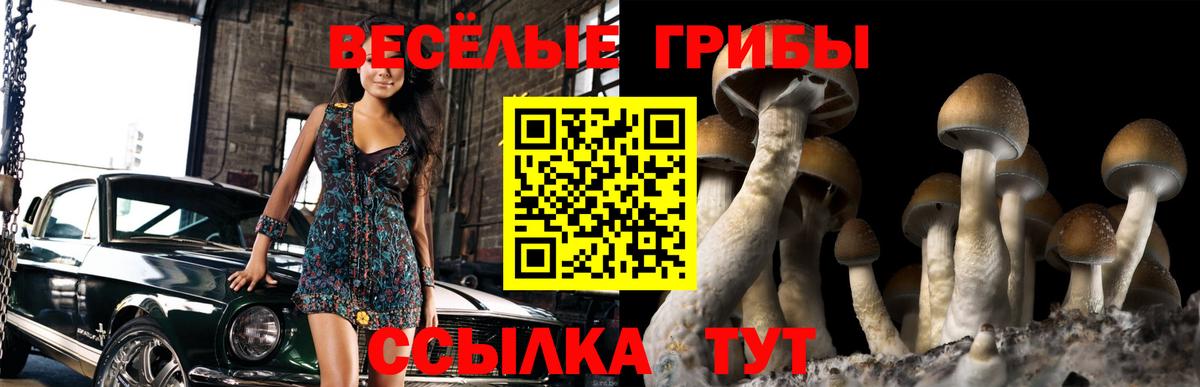 Галлюциногенные грибы мухоморы  Псилоцибиновые грибы мухоморы  Тельмана  Вход с VPN 